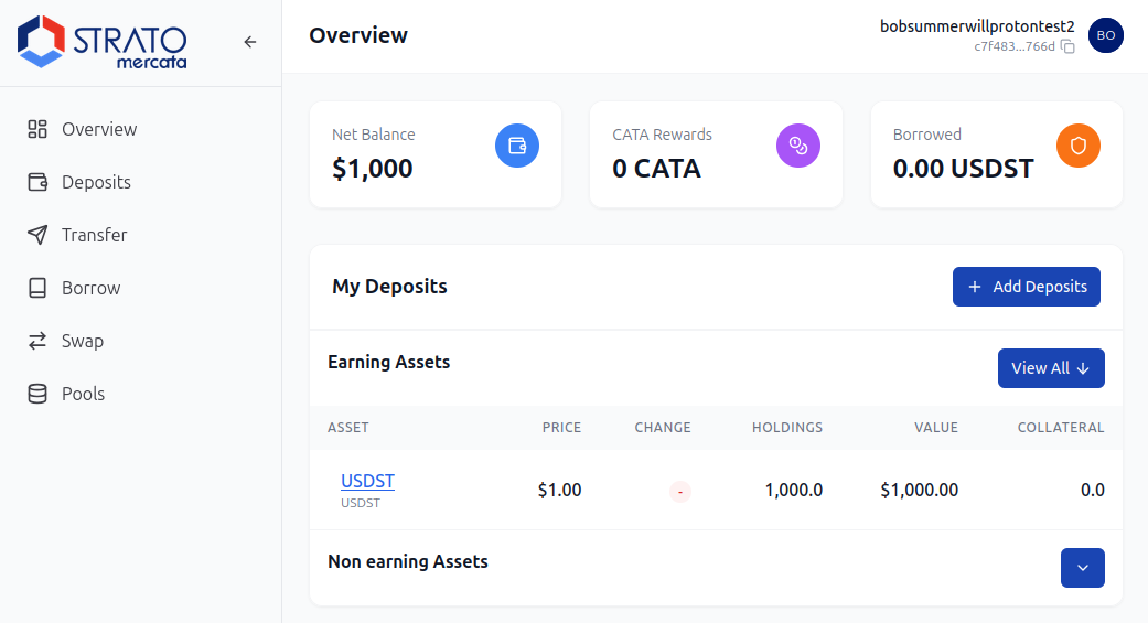 Portfolio Overview
