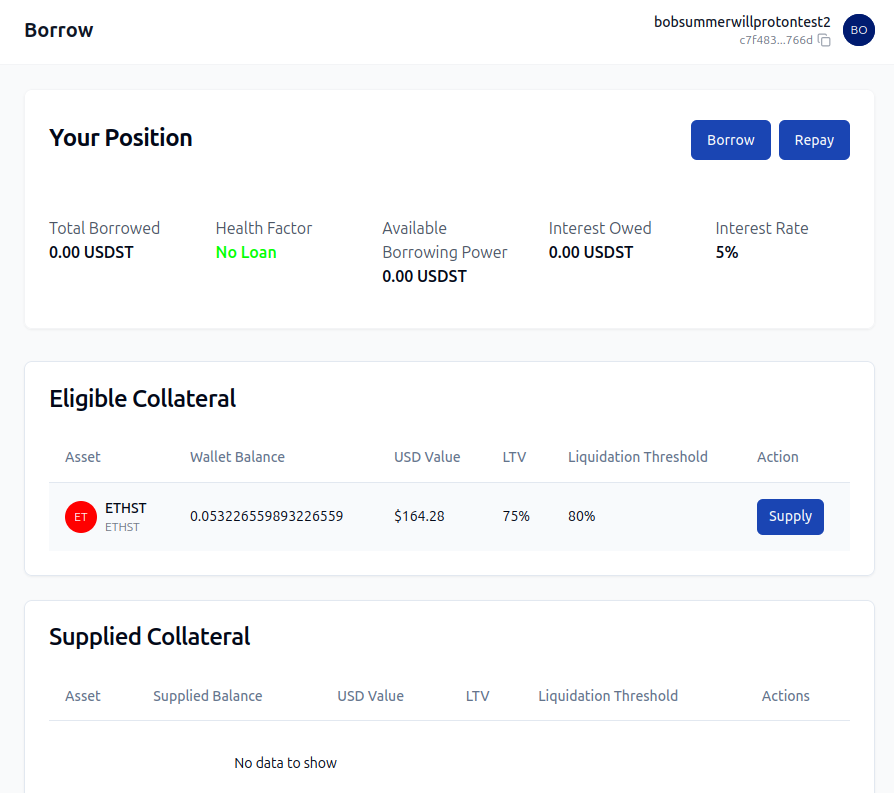 Borrow Interface